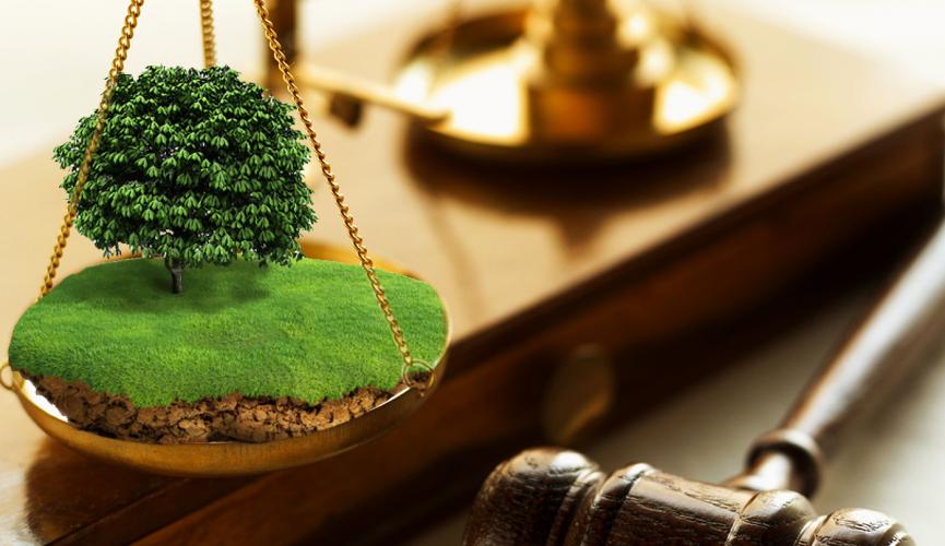 ТОП найрезонансніших рішень Верховного суду по земельним спорам